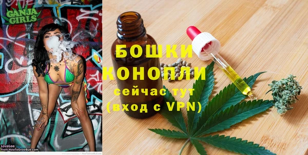 шишки Зеленодольск