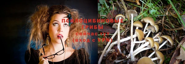 круглые Армянск